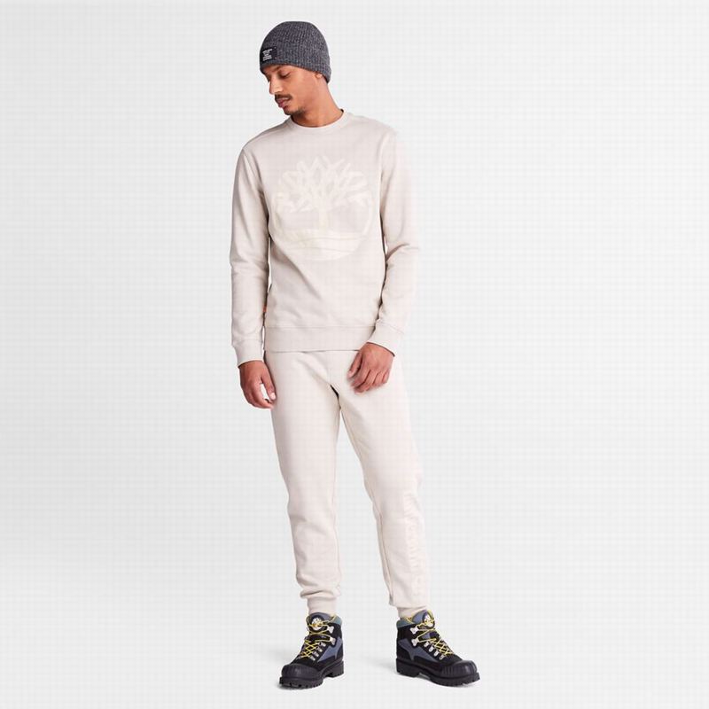 Timberland Logo Swea Jogger Hlače Bijele | 64608099