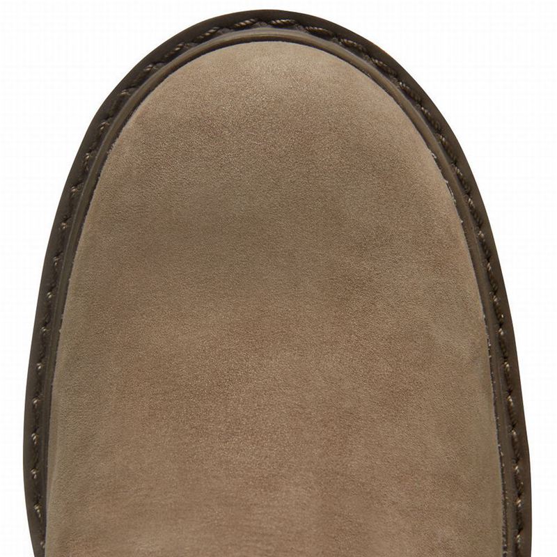 Timberland Lucia Way 6 Inch Čizme Smeđe | 22687398