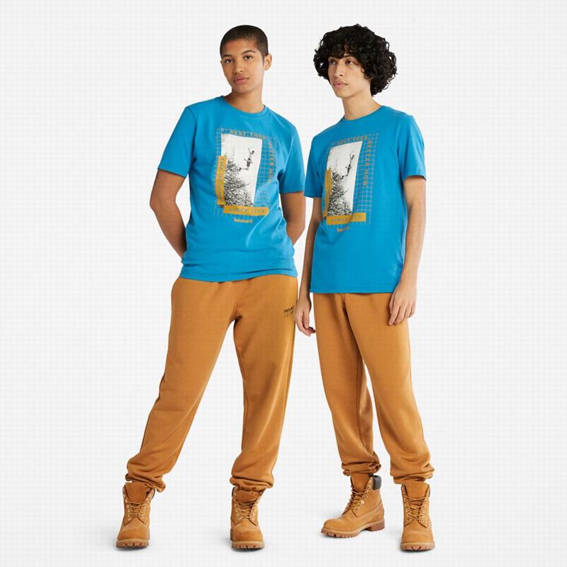 Timberland Luxe Comfort Swea Jogger Hlače Smeđe | 40051840