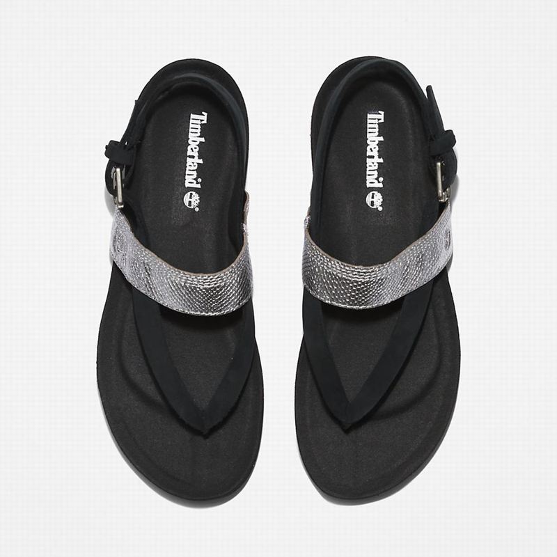 Timberland Malibu Beach Flip-Flop Sandale Crne | 39757341