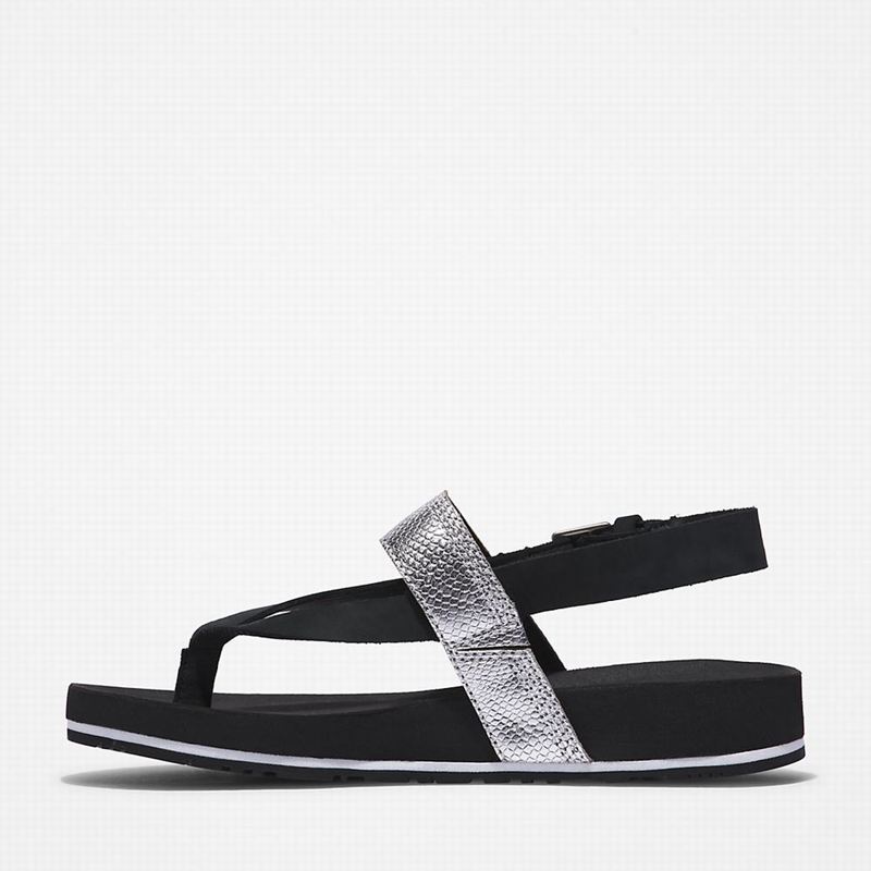 Timberland Malibu Beach Flip-Flop Sandale Crne | 39757341