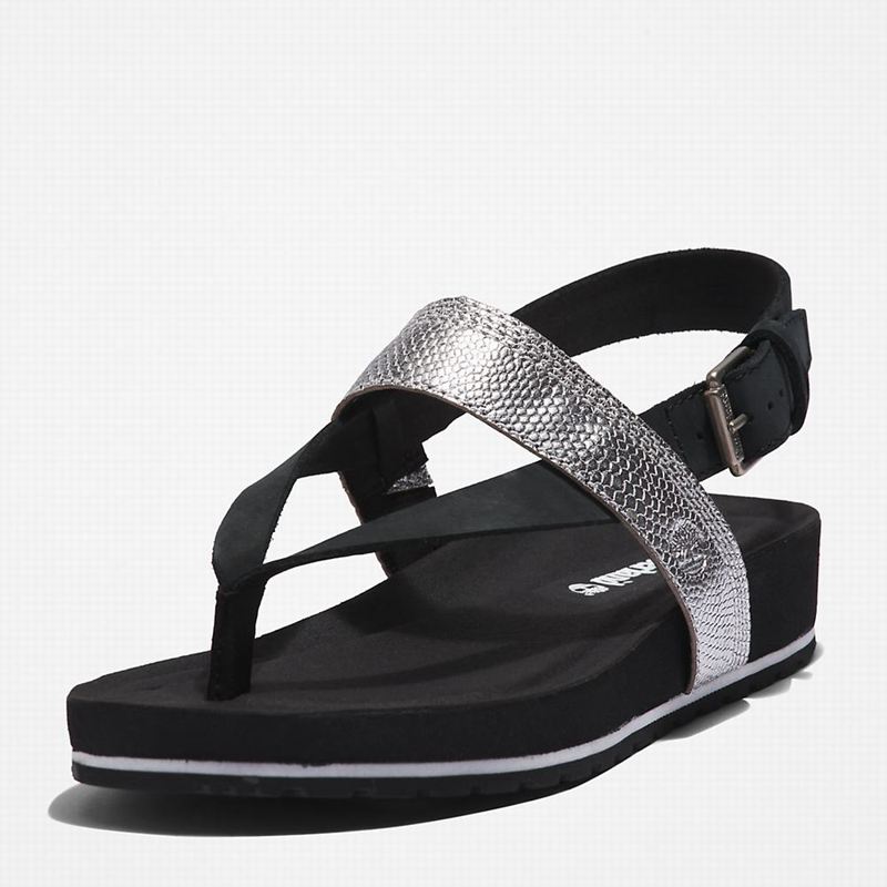Timberland Malibu Beach Flip-Flop Sandale Crne | 39757341