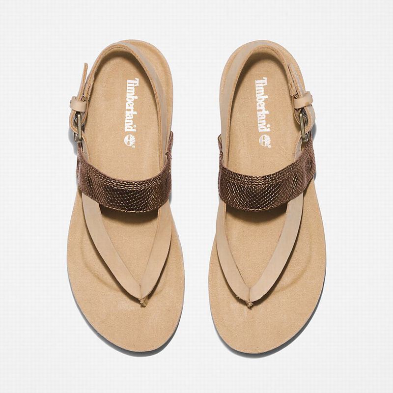 Timberland Malibu Beach Flip-Flop Sandale Bež | 89026432