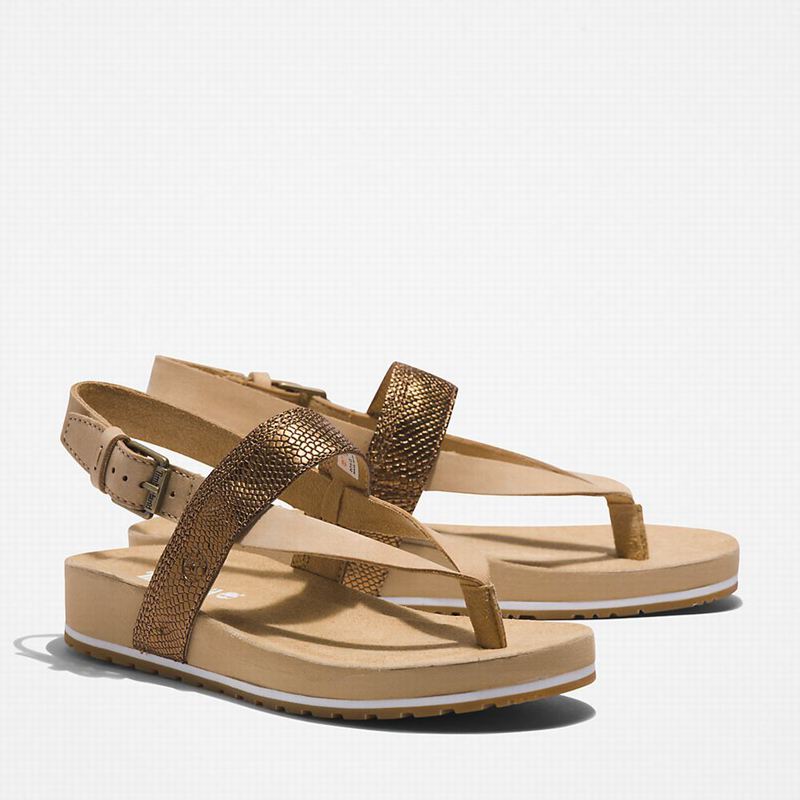 Timberland Malibu Beach Flip-Flop Sandale Bež | 89026432