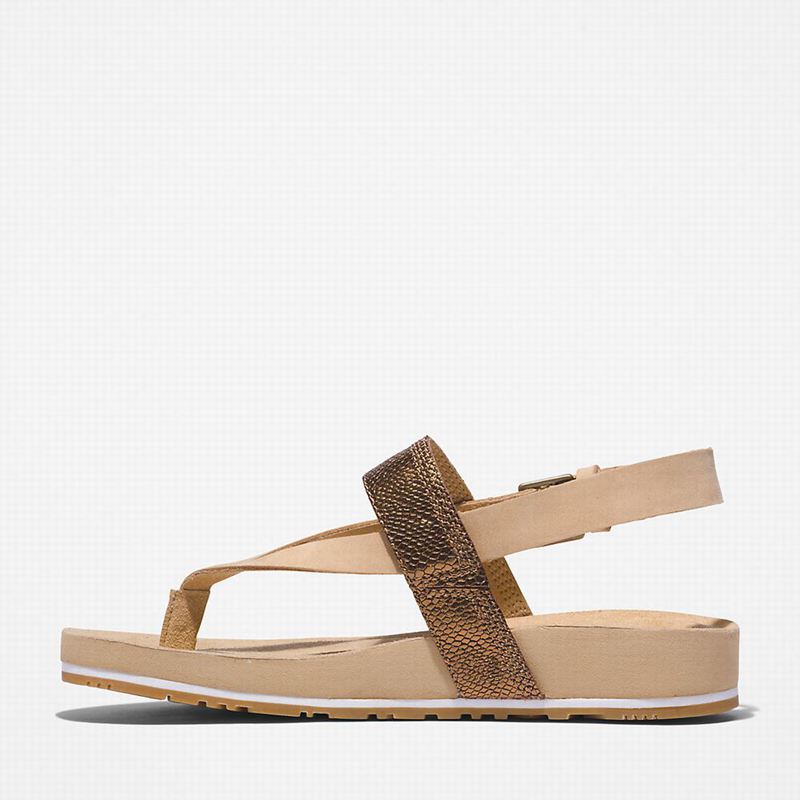 Timberland Malibu Beach Flip-Flop Sandale Bež | 89026432