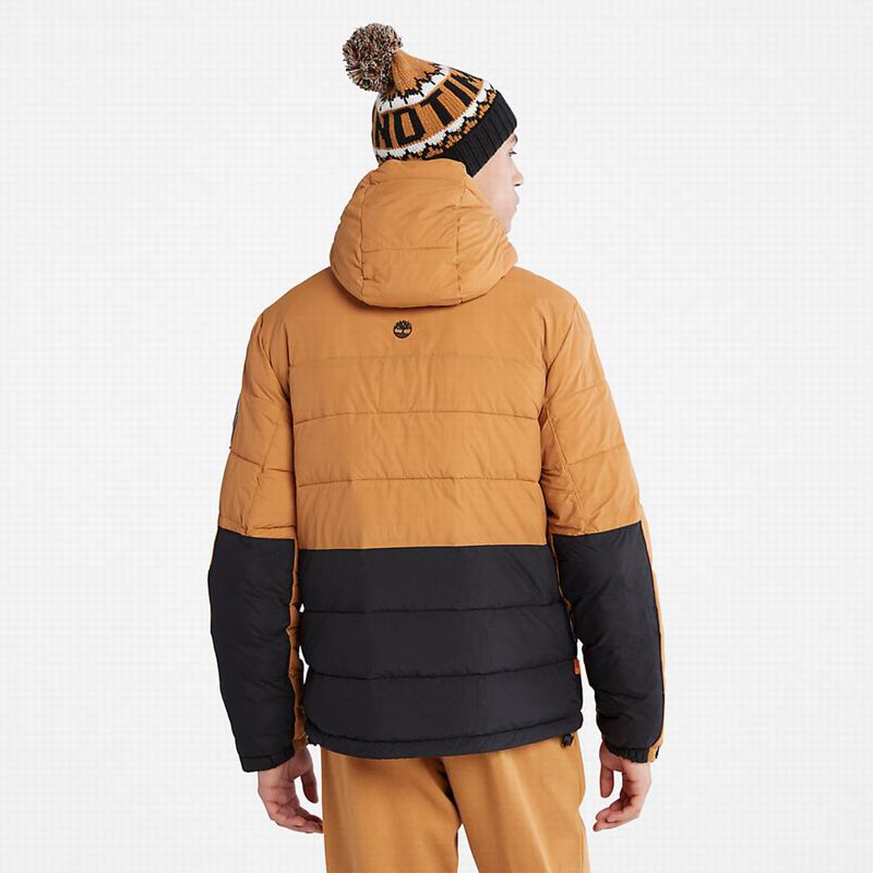 Timberland Mount Kelsey Field Donje Jakne Crne | 3720143