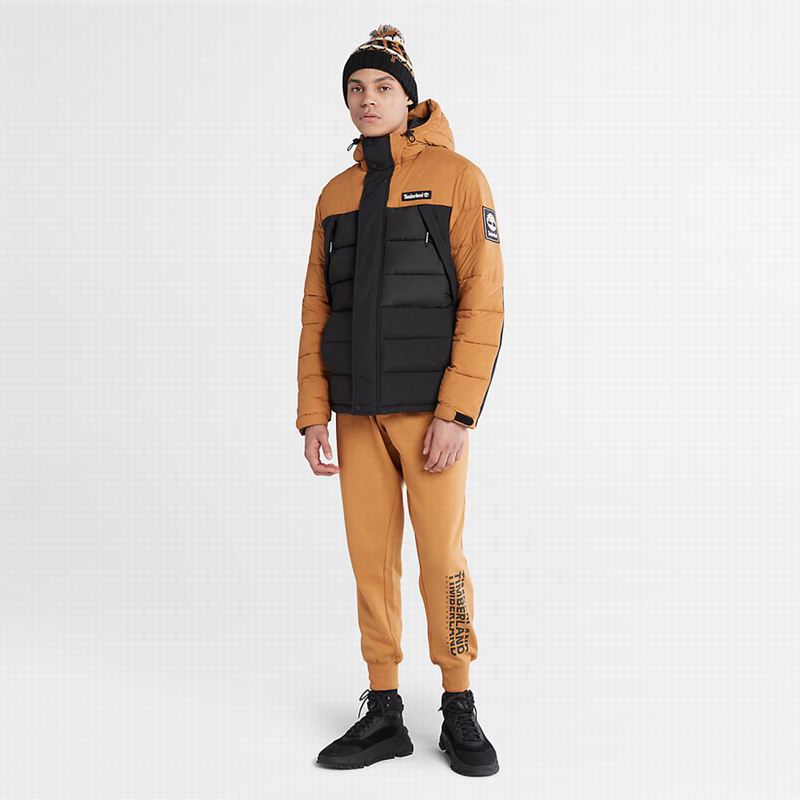 Timberland Mount Kelsey Field Donje Jakne Crne | 3720143