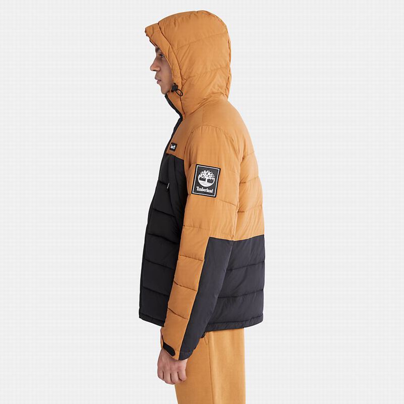Timberland Mount Kelsey Field Donje Jakne Crne | 3720143