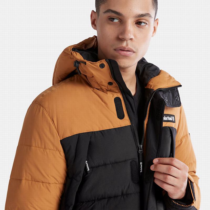 Timberland Mount Kelsey Field Donje Jakne Crne | 3720143