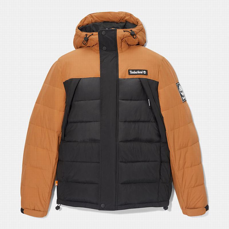 Timberland Mount Kelsey Field Donje Jakne Crne | 3720143