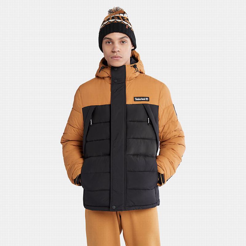 Timberland Mount Kelsey Field Donje Jakne Crne | 3720143