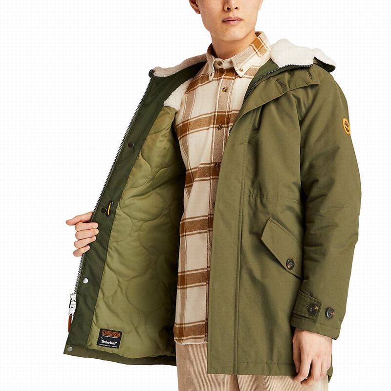 Timberland Mount Kelsey Fishtail Parka Maslinasto Zelene | 12545985