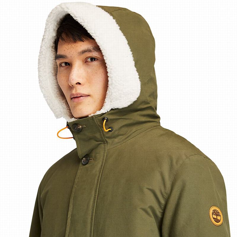 Timberland Mount Kelsey Fishtail Parka Maslinasto Zelene | 12545985
