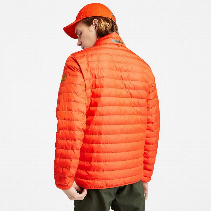 Timberland Mount Lafayette Bomber Jakna Narančaste | 72956681