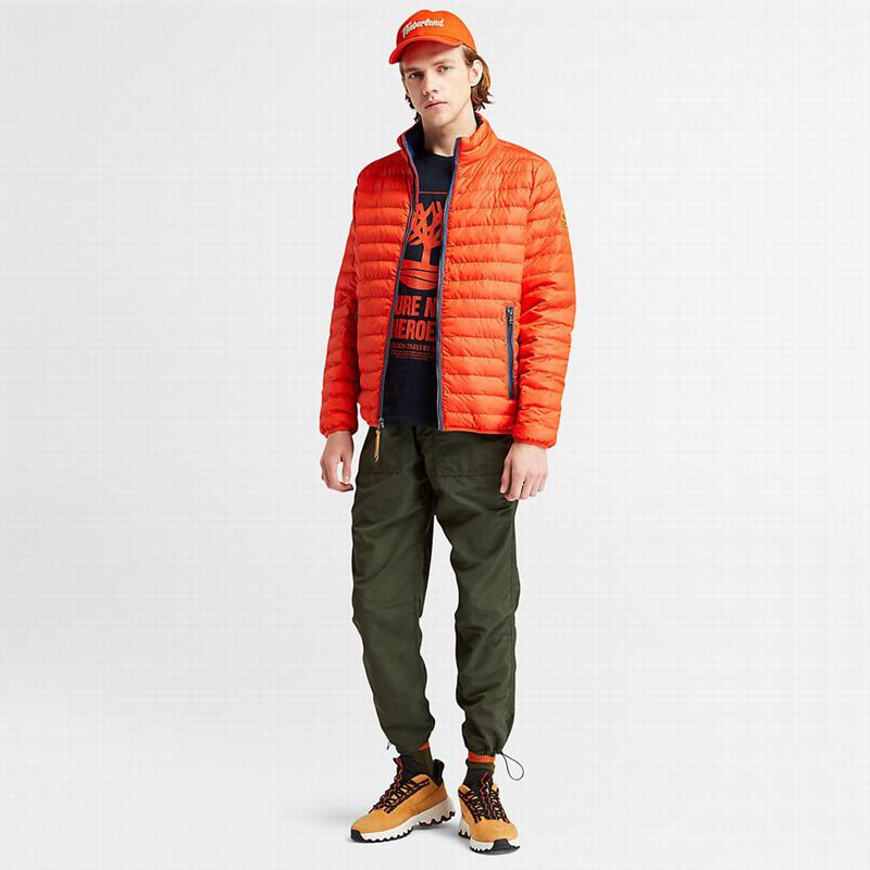Timberland Mount Lafayette Bomber Jakna Narančaste | 72956681
