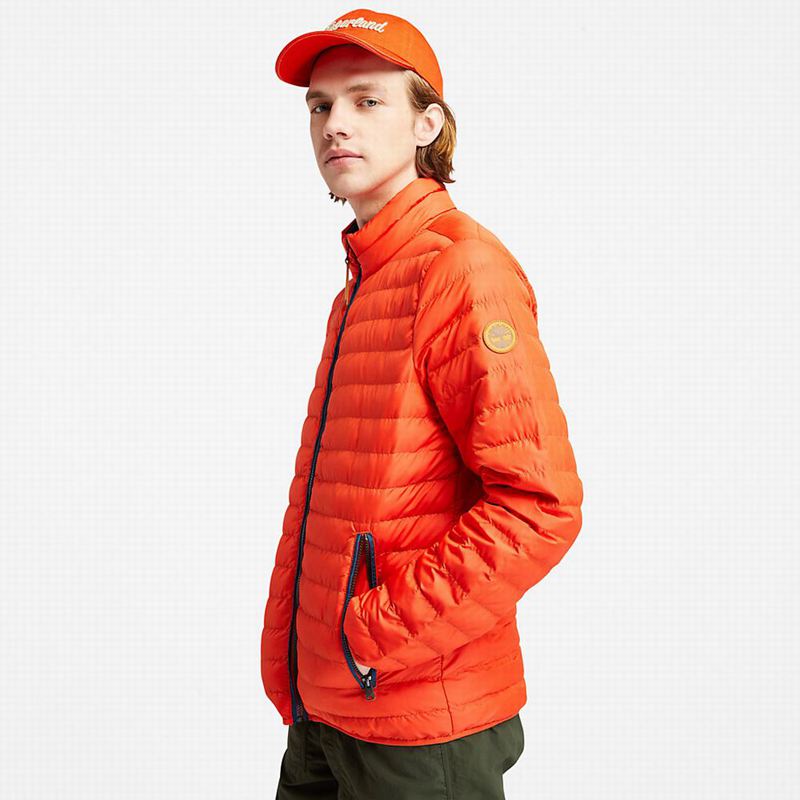 Timberland Mount Lafayette Bomber Jakna Narančaste | 72956681