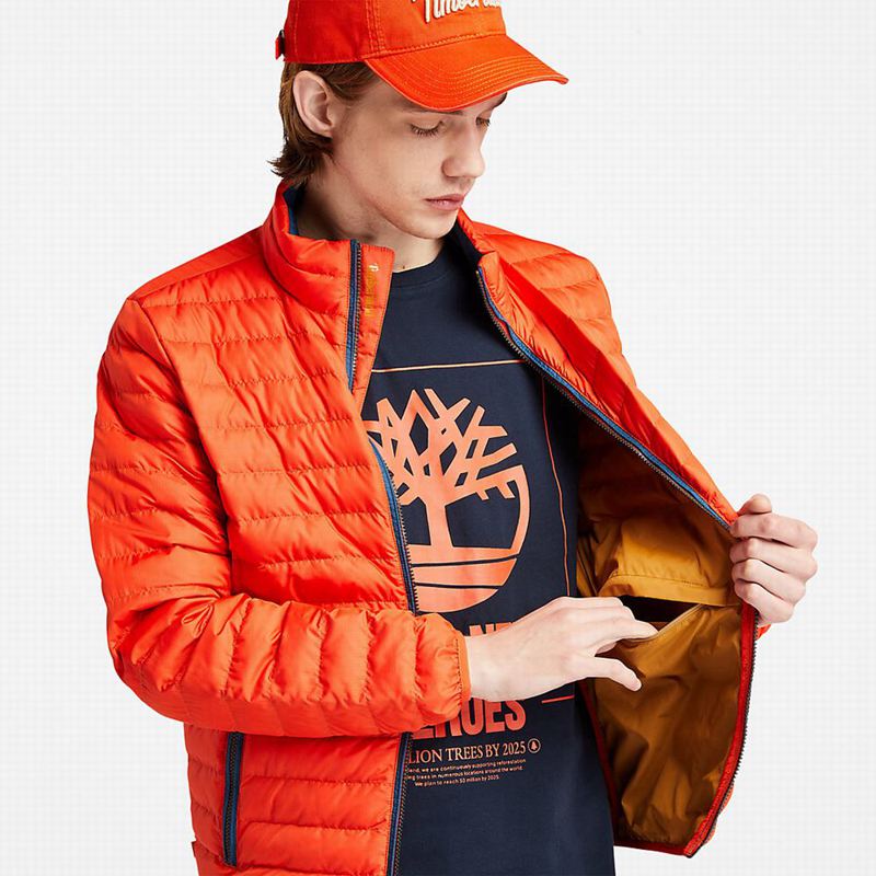 Timberland Mount Lafayette Bomber Jakna Narančaste | 72956681