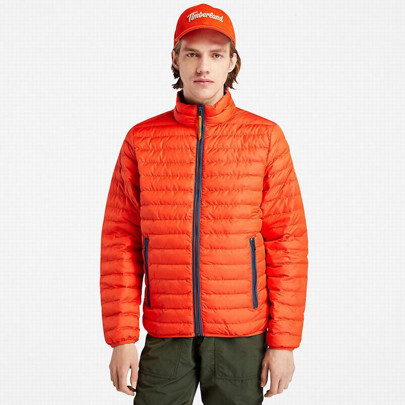 Timberland Mount Lafayette Bomber Jakna Narančaste | 72956681