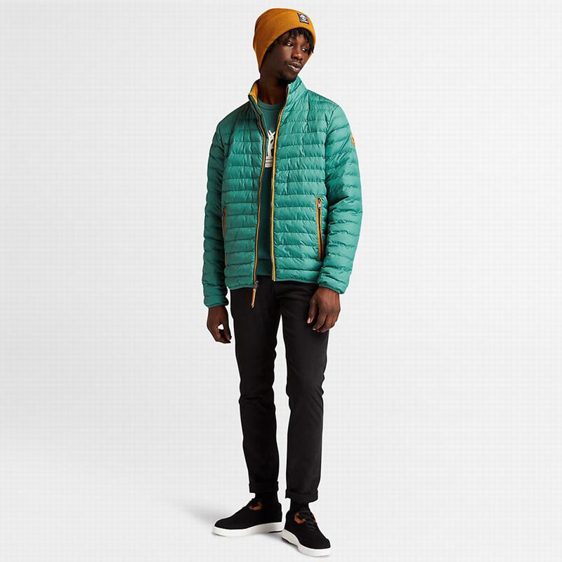 Timberland Mount Lafayette Bomber Jakna Tirkizne | 95155250