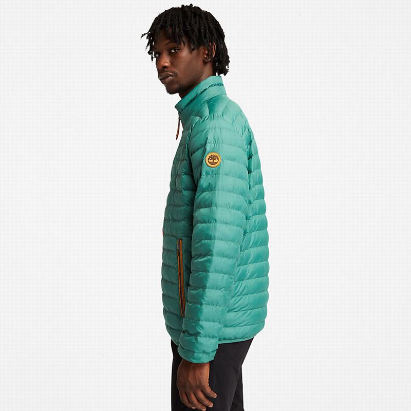 Timberland Mount Lafayette Bomber Jakna Tirkizne | 95155250