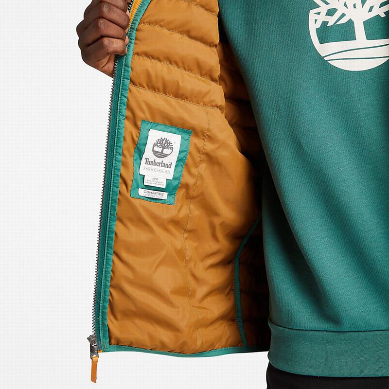 Timberland Mount Lafayette Bomber Jakna Tirkizne | 95155250