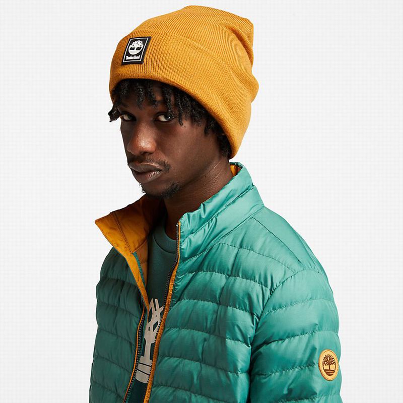 Timberland Mount Lafayette Bomber Jakna Tirkizne | 95155250