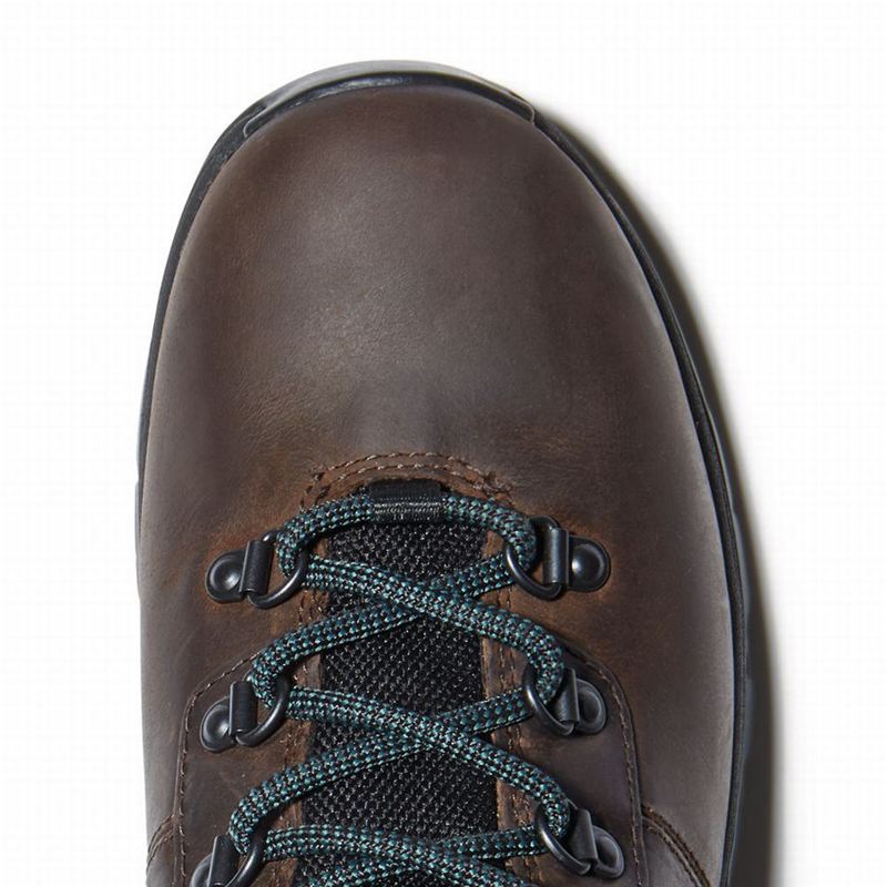 Timberland Mount Maddsen Planinarske Cipele Smeđe | 31992866