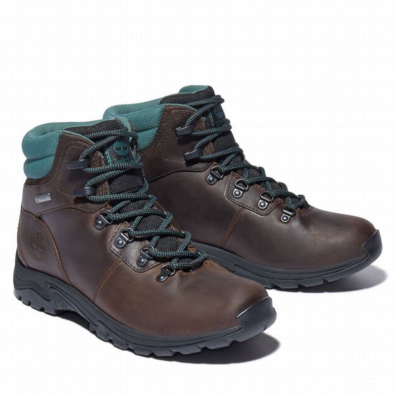 Timberland Mount Maddsen Planinarske Cipele Smeđe | 31992866