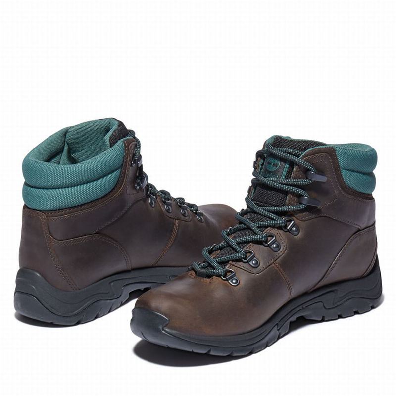Timberland Mount Maddsen Planinarske Cipele Smeđe | 31992866