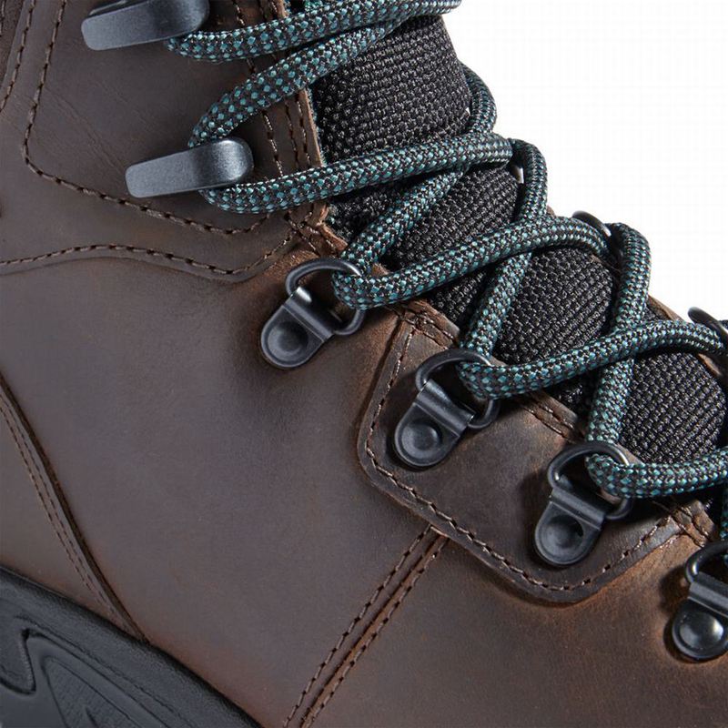 Timberland Mount Maddsen Planinarske Cipele Smeđe | 31992866