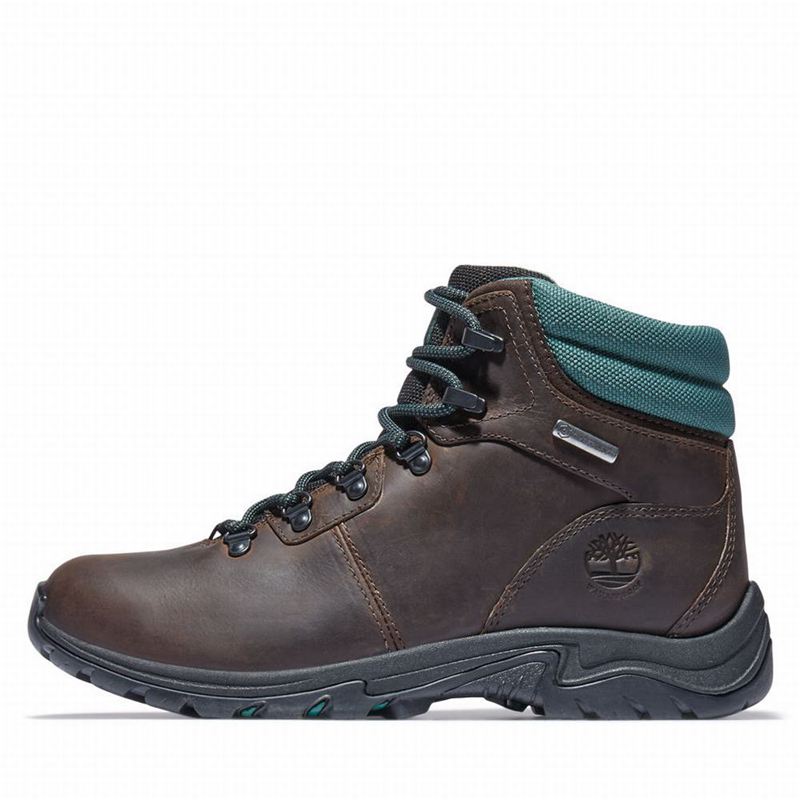 Timberland Mount Maddsen Planinarske Cipele Smeđe | 31992866
