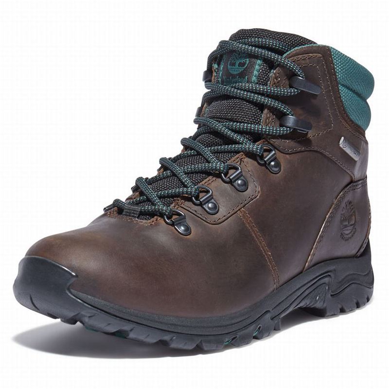 Timberland Mount Maddsen Planinarske Cipele Smeđe | 31992866