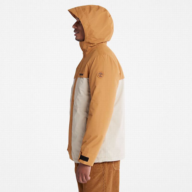 Timberland Mount Redington Nepromociva Jakna Smeđe | 290744