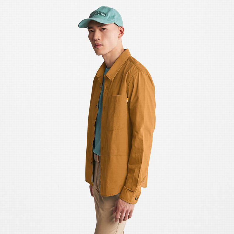 Timberland Mt. Eastman Prošiven Jakne Smeđe | 40525869