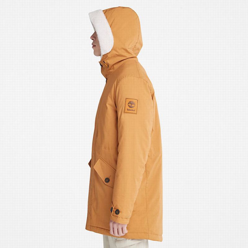 Timberland Mt. Kelsey Fishtail Parka Smeđe | 78879722