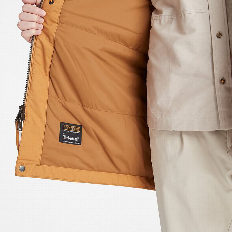 Timberland Mt. Kelsey Fishtail Parka Smeđe | 78879722