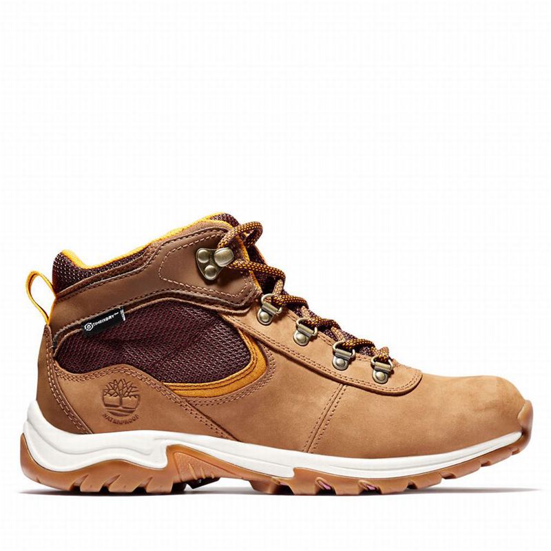 Timberland Mt. Maddsen Gore Tex Planinarske Cipele Smeđe | 56268866