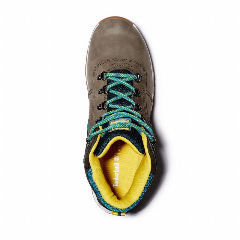 Timberland Mt. Maddsen Gore Tex Planinarske Cipele Bež | 76674241