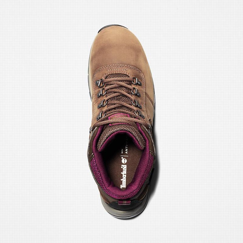 Timberland Mt. Maddsen Planinarske Cipele Smeđe | 58083451