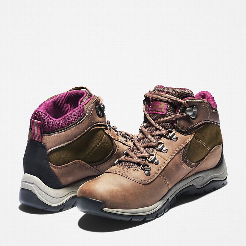 Timberland Mt. Maddsen Planinarske Cipele Smeđe | 58083451