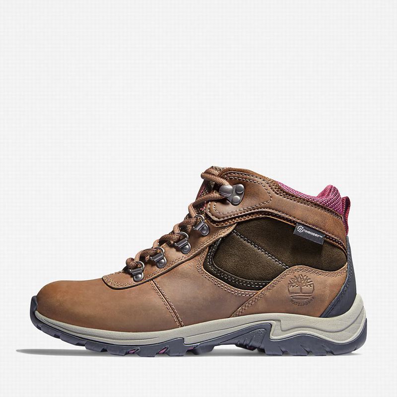 Timberland Mt. Maddsen Planinarske Cipele Smeđe | 58083451
