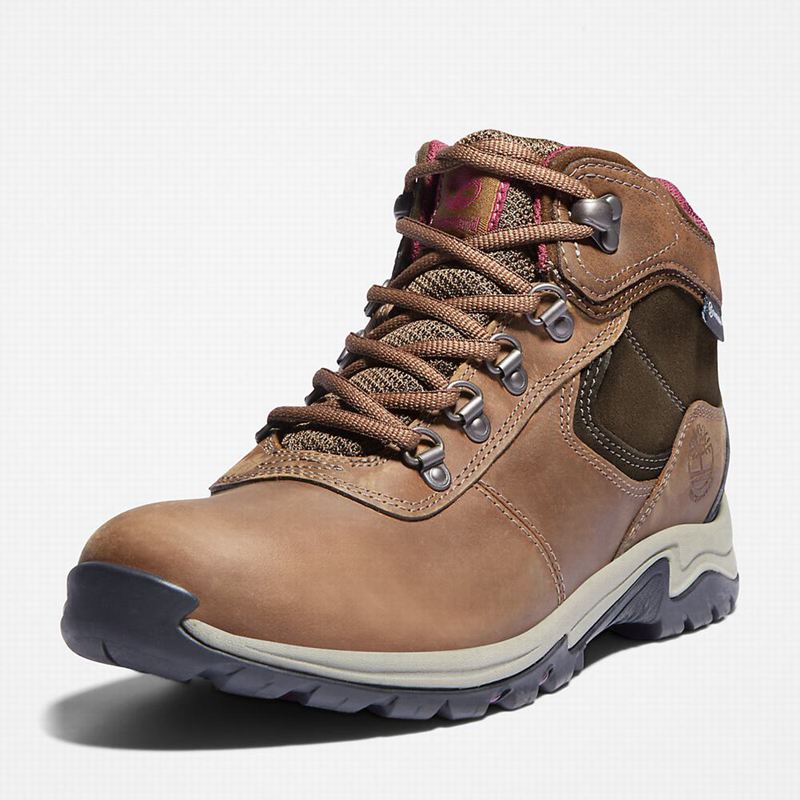 Timberland Mt. Maddsen Planinarske Cipele Smeđe | 58083451