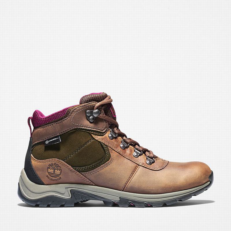 Timberland Mt. Maddsen Planinarske Cipele Smeđe | 58083451