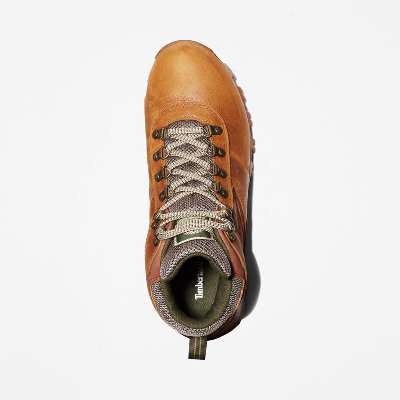 Timberland Mt. Maddsen Waterproof Planinarske Cipele Smeđe | 52826465