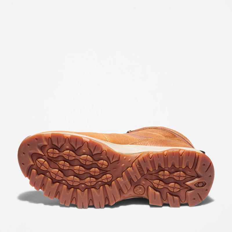 Timberland Mt. Maddsen Waterproof Planinarske Cipele Smeđe | 52826465