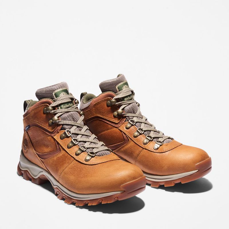 Timberland Mt. Maddsen Waterproof Planinarske Cipele Smeđe | 52826465