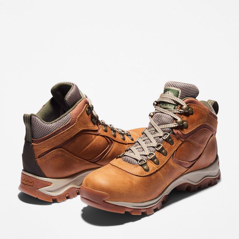 Timberland Mt. Maddsen Waterproof Planinarske Cipele Smeđe | 52826465