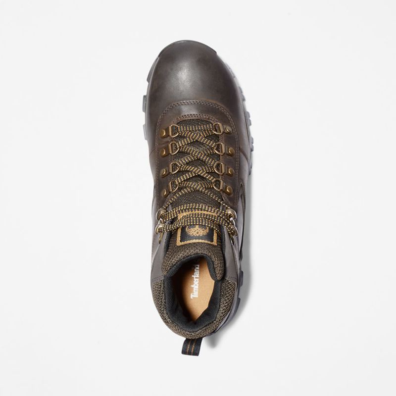 Timberland Mt. Maddsen Waterproof Planinarske Cipele Smeđe | 63439505