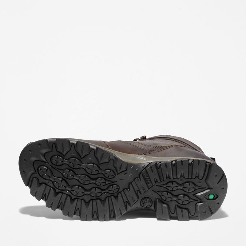 Timberland Mt. Maddsen Waterproof Planinarske Cipele Smeđe | 63439505