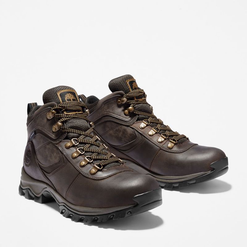 Timberland Mt. Maddsen Waterproof Planinarske Cipele Smeđe | 63439505